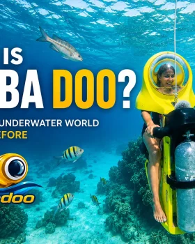 What Is Scuba Doo